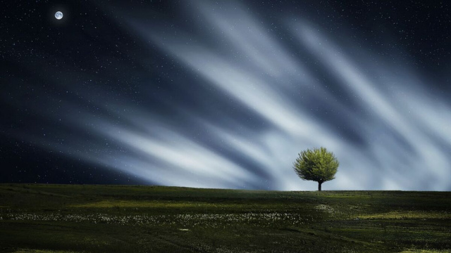 Cielo stellato su un prato con albero - pixabay.com