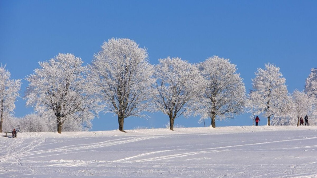 Ondata di gelo in Italia (Pixabay).