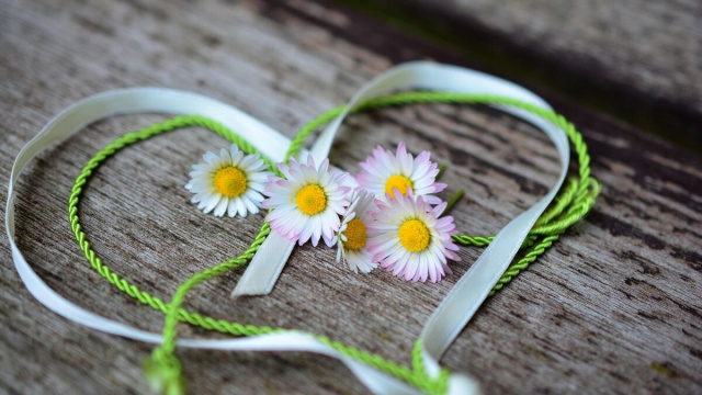 Margherite dentro una corda a forma di cuore &copy; Pixabay