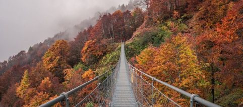 L'oroscopo del fine settimana 24-25 ottobre: l'Ariete si dedica alle proprie passioni