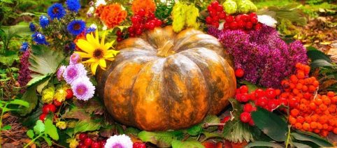 L'oroscopo della settimana dal 19 al 25 ottobre: rapporti in primo piano per i nativi Toro