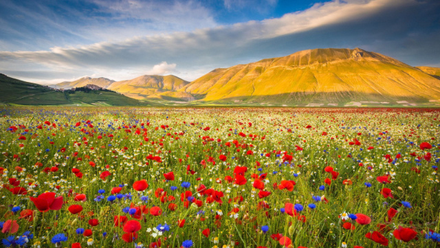 Campagna internazionale del Nastro Rosa Airc: le iniziative in Umbria &copy; Creative Commons