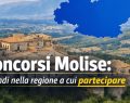 Molise, solo tre Comuni attivi contro l'evasione fiscale
