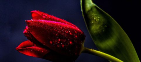 L'oroscopo del giorno lunedì 19 ottobre: bisogno di chiarimenti per il segno del Cancro