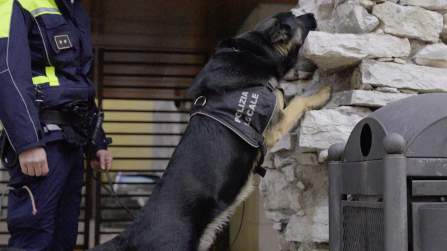 Controlli straordinari a Trento: due denunciati per spaccio e un ... &copy; Creative Commons