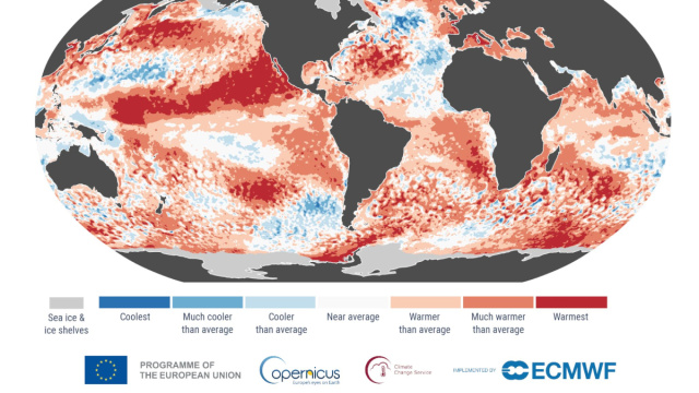 Copernicus: oceani sempre pi&ugrave; caldi, aprile 2026 tra i pi&ugrave; caldi ... &copy; Creative Commons