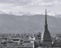 Ineleggibilità Testolin, la Corte d'Appello di Torino si riserva la decisione