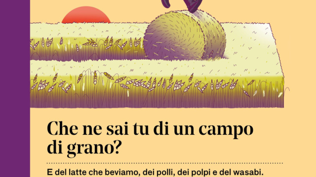 Che ne sai tu di un campo di grano? - COSE Spiegate bene &copy; Creative Commons
