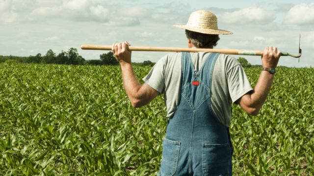Coordinamento Agricoltori Basilicata: &ldquo;Cicala, l'Assessore di ... &copy; Creative Commons