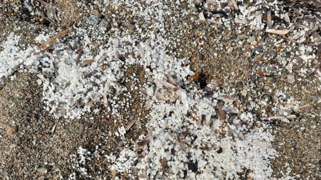 Palline bianche in spiaggia, chiarito il mistero: ecco di cosa si ... &copy; Creative Commons