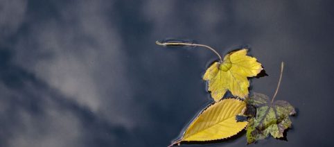 L'oroscopo del giorno giovedì 22 ottobre: i nativi Ariete devono dimostrare affidabilità