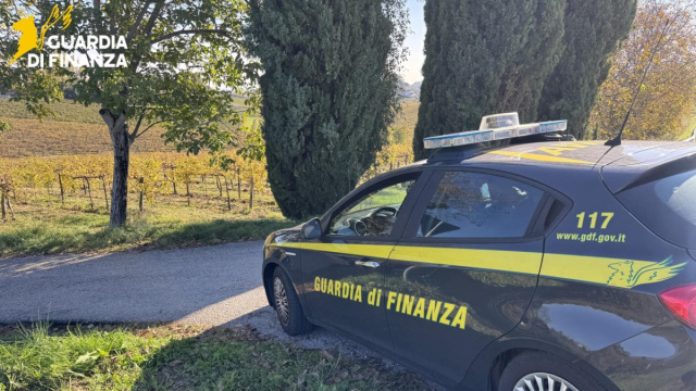 Appalti illeciti per la vendemmia del prosecco Docg, imprenditore ... &copy; Creative Commons