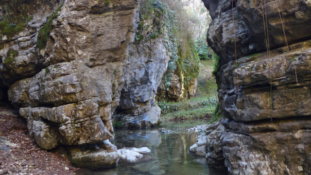 Parco Naturale Monte Fenera - Ente di Gestione delle Aree Protette ... &copy; Creative Commons