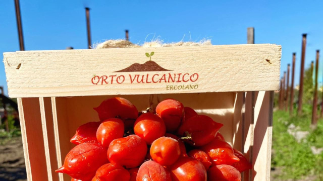 Ceppa di Pomodorini del Vesuvio 1,5 Kg in cassetta di legno - Orto ... &copy; Creative Commons