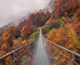 Paesaggio autunnale (&copy;pixabay.com)