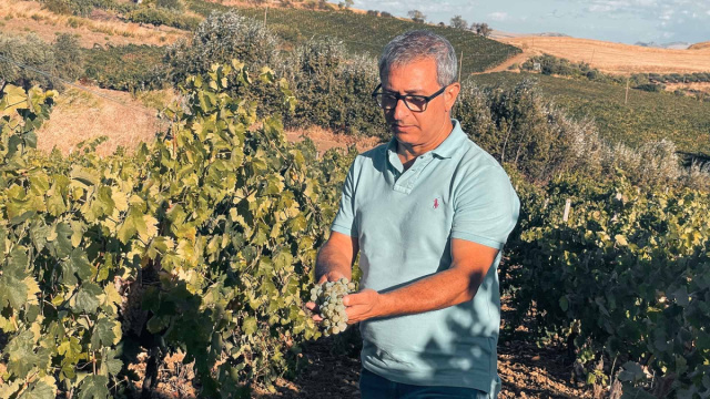 Tonino Guzzo: "Pane quotidiano, hobby e passione per la vigna ... &copy; Creative Commons