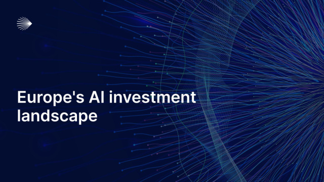 Blog Seedblink  Europe's AI investment landscape: A deep-dive &copy; Creative Commons