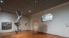 Mostre d'arte in Italia: da Torino a Verona, un weekend ricco di eventi