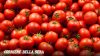 Mense scolastiche Bari, pomodori freschi sospesi per cautela: menù con alternative