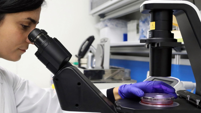 Invecchiamento e malattie neurodegenerative, il ruolo degli ... &copy; Creative Commons