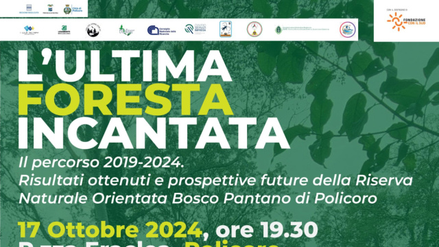 A Policoro l'Ultima Foresta Incantata - Regione Basilicata &copy; Creative Commons