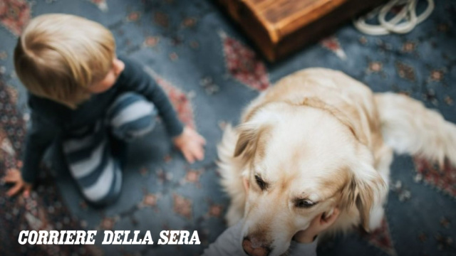 Cani e gatti &laquo;per sempre&raquo; nella tomba con i padroni: a Venezia l ... &copy; Creative Commons