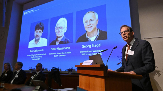Nobel per la Medicina 2026 a Deisseroth, Hegemann e Nagel: perch&eacute; ... &copy; Creative Commons