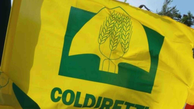 Prezzi: Coldiretti Lazio, contro i trafficanti di olio e grano ... &copy; Creative Commons