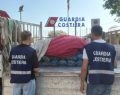 Guardia Costiera blocca furgone con 2.685 kg di vongole senza tracciabilità