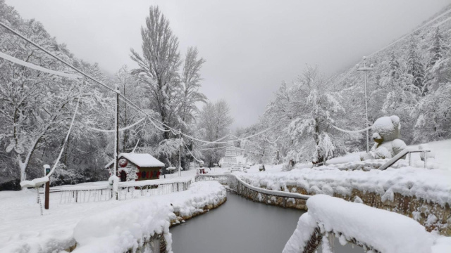 Maltempo, allerta gialla in 5 regioni: ondata di gelo, neve e ... &copy; Creative Commons
