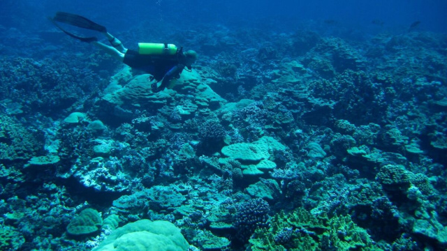 Un sub nuota nelle profondit&agrave; dell'Oceano - da Pixabay.