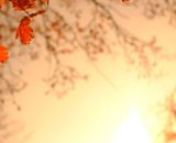 Tramonto d'autunno (&copy;pixabay.com)
