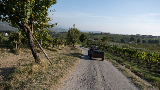 Azienda &ndash; Cantine del Maresciallo &copy; Creative Commons