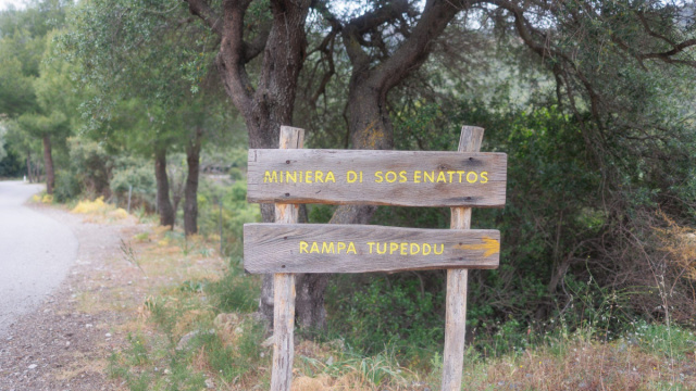 PERCH&Eacute; SOS ENATTOS? ALLE ORIGINI DELLA CANDIDATURA SARDA A ... &copy; Creative Commons