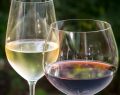 Wine Night a Eataly Milano Smeraldo: il 16 ottobre tornano calici, storie e sapori