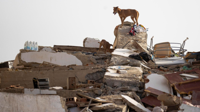 Venezuela in ginocchio dopo il terremoto. 50 mila dispersi, oltre ... &copy; Creative Commons