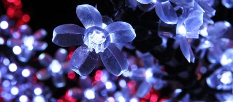 L'oroscopo del giorno domenica 8 febbraio: Vergine non deve farsi prendere dalla fretta