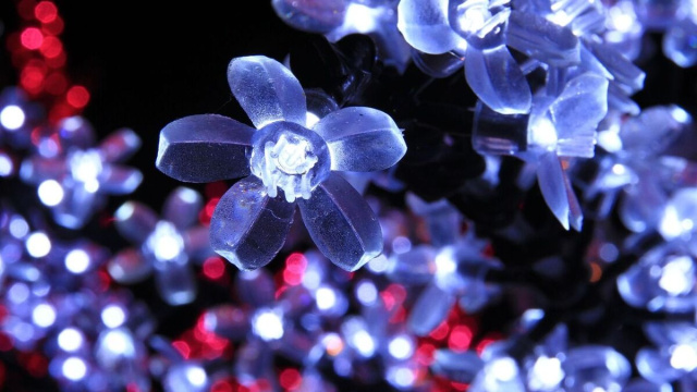 Luci a forma di fiore (&copy;pixabay.com)