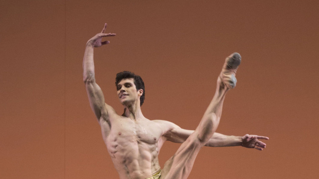 Roberto Bolle chiude il 2017 al Regio di Torino - Danza Effebi &copy; Creative Commons