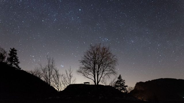 Cielo notturno stellato su un bosco - pixabay.com