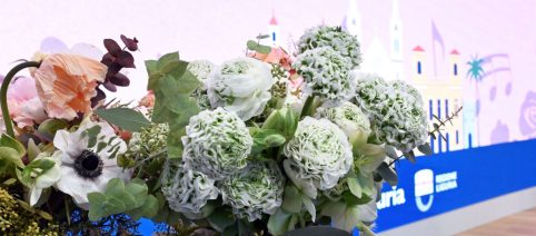 Sanremo: 3.000 ranuncoli per il nuovo Gaslini