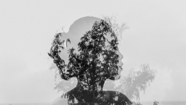 Volto di donna sovrapposto con una pianta- &copy;Pexels