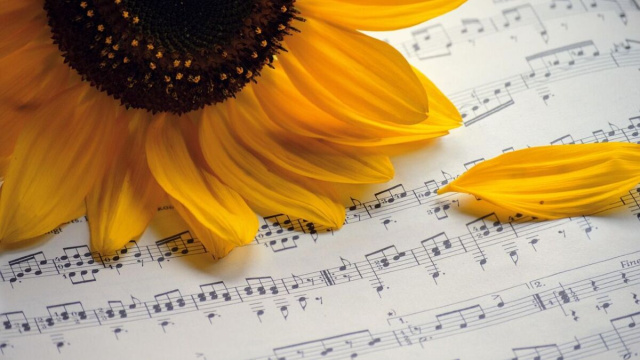 Girasole su uno spartito musicale (&copy;pixabay.com)