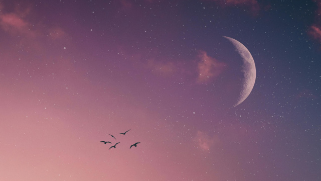 Cielo con rondini e mezzaluna- &copy; Pexels