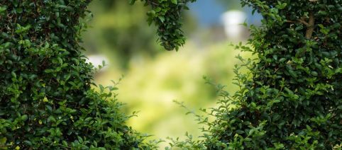 L'oroscopo del giorno martedì 10 febbraio: Scorpione produttivo, Sagittario emotivo