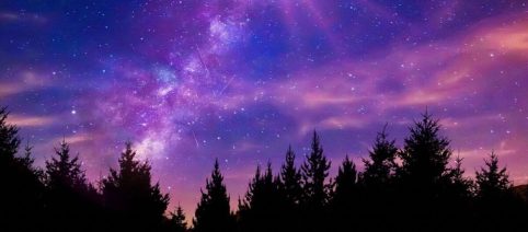 Previsioni zodiacali del 6 febbraio: Leone e Acquario grandi comunicatori