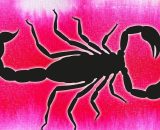 Segno zodiacale dello Scorpione &copy; Pixabay.