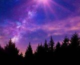 Alberi in ombra con un cielo stellato e colorato - pixabay.com