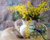 Vaso con mimose (&copy;pixabay.com)