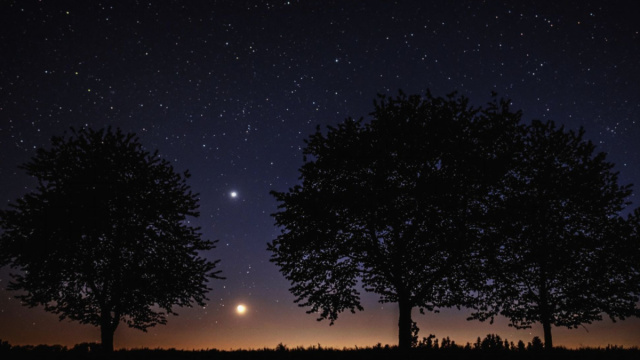 Alberti di notte sotto un cielo stellato - pixabay.com